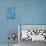 CHERRY BLOSSOM #1-ALLAYN STEVENS-Premium Giclee Print displayed on a wall