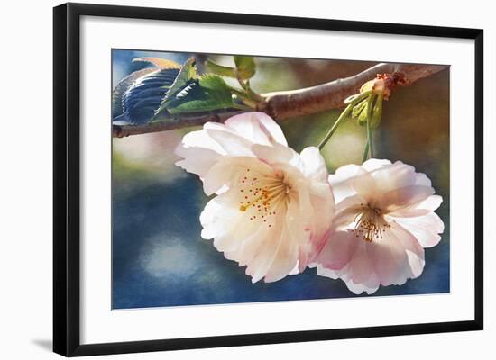 Cherry Blossom 2-Leda Robertson-Framed Giclee Print