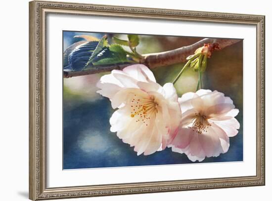 Cherry Blossom 2-Leda Robertson-Framed Giclee Print