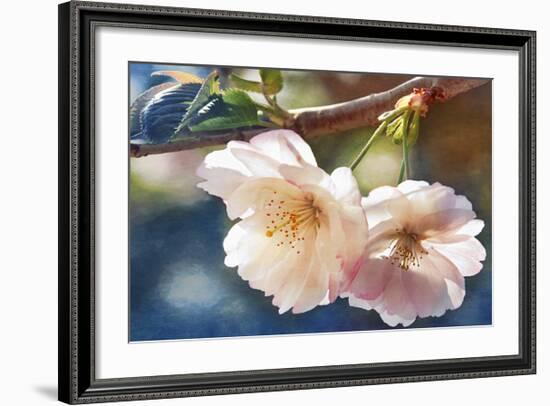Cherry Blossom 2-Leda Robertson-Framed Giclee Print