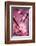 Cherry Blossom 2-Philippe Sainte-Laudy-Framed Photographic Print