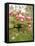 Cherry Blossom, Buds-Harald Kroiss-Framed Premier Image Canvas