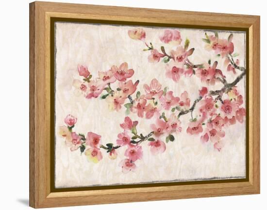 Cherry Blossom Composition I-null-Framed Stretched Canvas