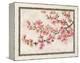 Cherry Blossom Composition I-null-Framed Stretched Canvas