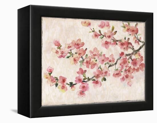 Cherry Blossom Composition I-null-Framed Stretched Canvas