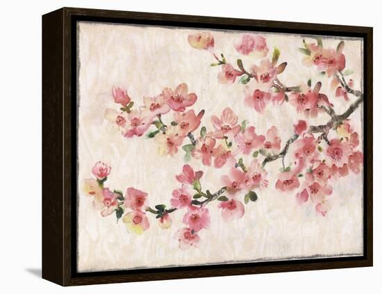 Cherry Blossom Composition I-null-Framed Stretched Canvas