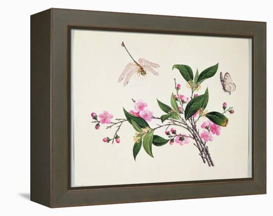 Cherry Blossom (?) Dragonfly and Butterfly-null-Framed Premier Image Canvas