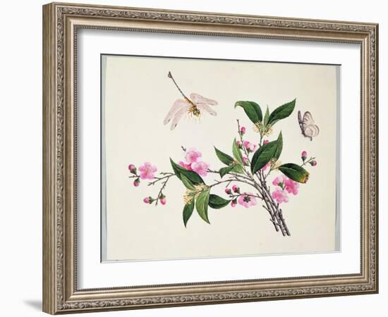 Cherry Blossom (?) Dragonfly and Butterfly-null-Framed Giclee Print