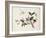 Cherry Blossom (?) Dragonfly and Butterfly-null-Framed Giclee Print