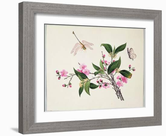 Cherry Blossom (?) Dragonfly and Butterfly-null-Framed Giclee Print