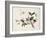 Cherry Blossom (?) Dragonfly and Butterfly-null-Framed Giclee Print