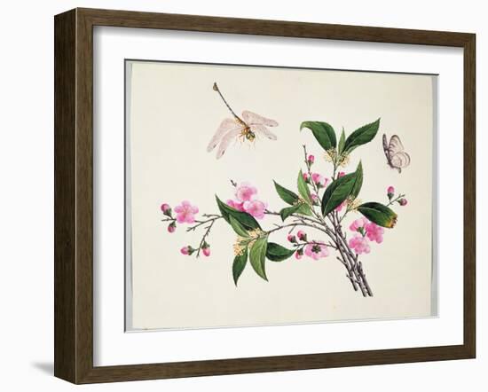 Cherry Blossom (?) Dragonfly and Butterfly-null-Framed Giclee Print