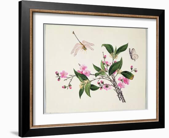 Cherry Blossom (?) Dragonfly and Butterfly-null-Framed Giclee Print