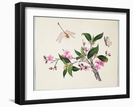 Cherry Blossom (?) Dragonfly and Butterfly-null-Framed Giclee Print