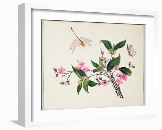 Cherry Blossom (?) Dragonfly and Butterfly-null-Framed Giclee Print