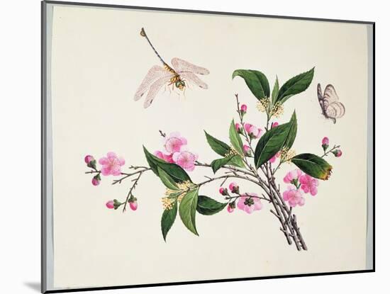 Cherry Blossom (?) Dragonfly and Butterfly-null-Mounted Giclee Print