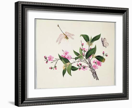 Cherry Blossom (?) Dragonfly and Butterfly-null-Framed Giclee Print