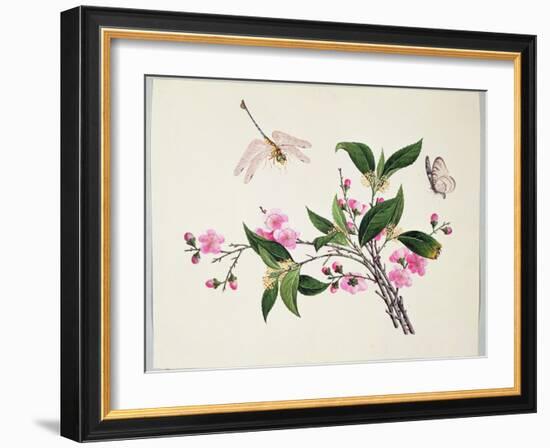 Cherry Blossom (?) Dragonfly and Butterfly-null-Framed Giclee Print