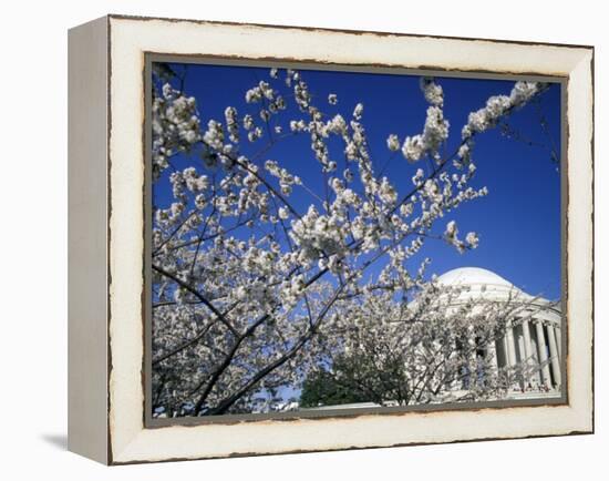 Cherry Blossom Festival and the Jefferson Memorial, Washington DC, USA-Michele Molinari-Framed Premier Image Canvas