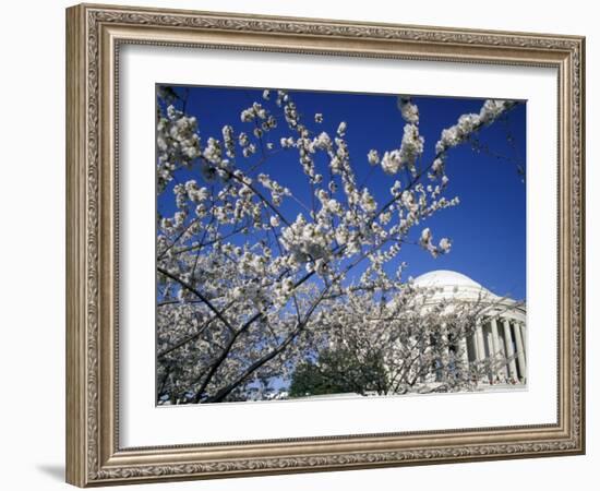 Cherry Blossom Festival and the Jefferson Memorial, Washington DC, USA-Michele Molinari-Framed Photographic Print