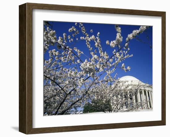 Cherry Blossom Festival and the Jefferson Memorial, Washington DC, USA-Michele Molinari-Framed Photographic Print