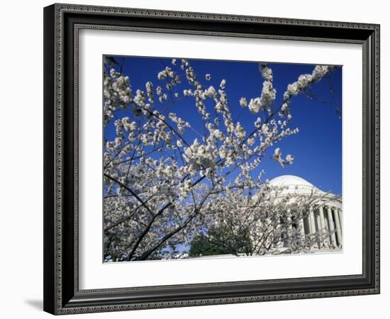 Cherry Blossom Festival and the Jefferson Memorial, Washington DC, USA-Michele Molinari-Framed Photographic Print