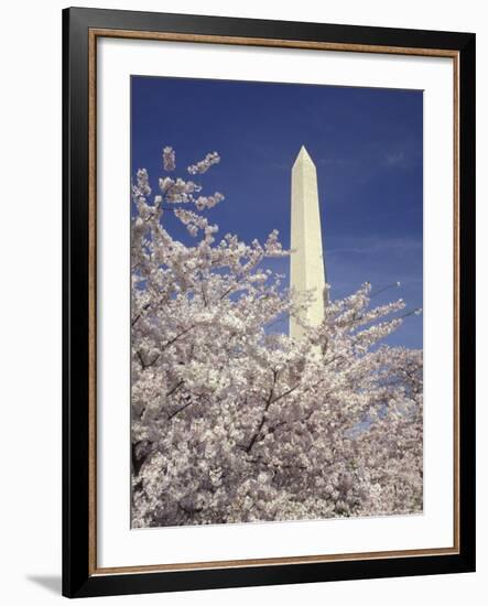 Cherry Blossom Festival and the Washington Monument, Washington DC, USA-Michele Molinari-Framed Photographic Print