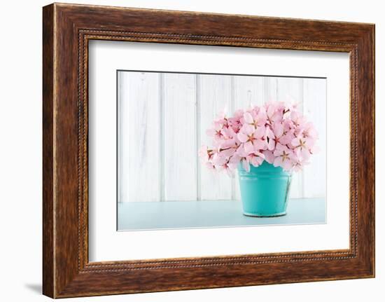 Cherry Blossom Flower Bouquet on Wooden Background-Anna-Mari West-Framed Photographic Print