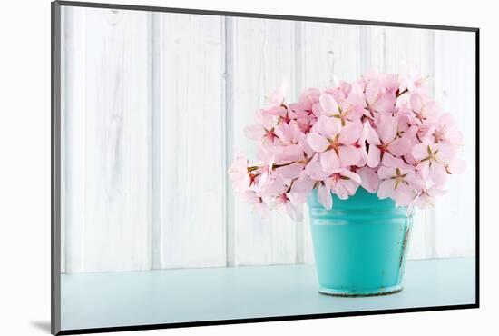 Cherry Blossom Flower Bouquet on Wooden Background-Anna-Mari West-Mounted Photographic Print