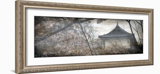 Cherry Blossom Garden-Tony Koukos-Framed Giclee Print