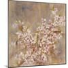 Cherry Blossom I-li bo-Mounted Giclee Print