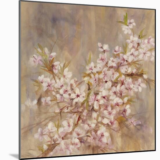 Cherry Blossom I-li bo-Mounted Giclee Print