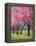 Cherry Blossom in the Meadow, 2022 (Acrylic)-Ann Oram-Framed Premier Image Canvas