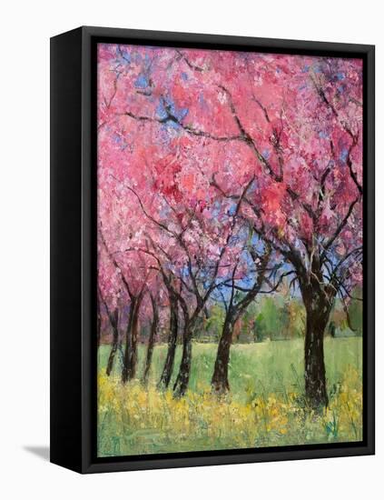 Cherry Blossom in the Meadow, 2022 (Acrylic)-Ann Oram-Framed Premier Image Canvas