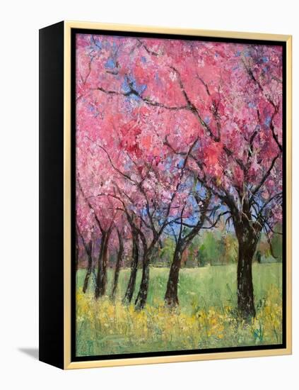 Cherry Blossom in the Meadow, 2022 (Acrylic)-Ann Oram-Framed Premier Image Canvas