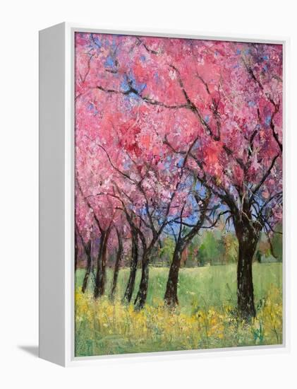 Cherry Blossom in the Meadow, 2022 (Acrylic)-Ann Oram-Framed Premier Image Canvas