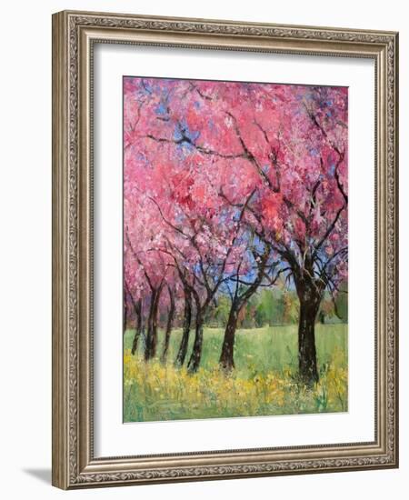 Cherry Blossom in the Meadow, 2022 (Acrylic)-Ann Oram-Framed Giclee Print