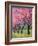 Cherry Blossom in the Meadow, 2022 (Acrylic)-Ann Oram-Framed Giclee Print