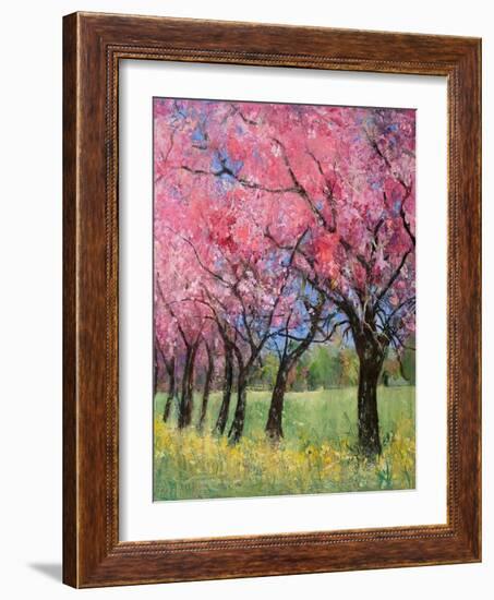 Cherry Blossom in the Meadow, 2022 (Acrylic)-Ann Oram-Framed Giclee Print