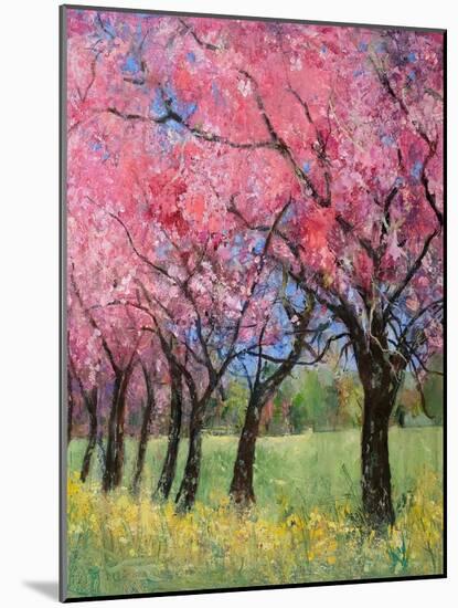 Cherry Blossom in the Meadow, 2022 (Acrylic)-Ann Oram-Mounted Giclee Print