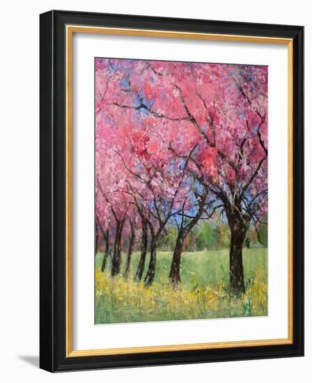 Cherry Blossom in the Meadow, 2022 (Acrylic)-Ann Oram-Framed Giclee Print