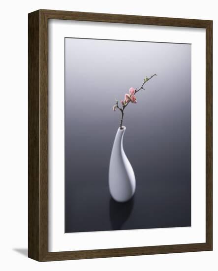 Cherry blossom in vase-John Smith-Framed Photographic Print