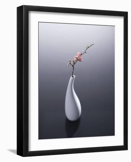 Cherry blossom in vase-John Smith-Framed Photographic Print