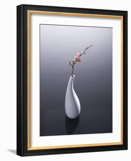 Cherry blossom in vase-John Smith-Framed Photographic Print