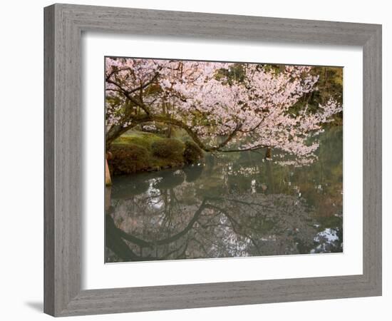 Cherry Blossom, Kenrokuen Garden, Kanazawa City, Ishigawa Prefecture, Honshu Island, Japan-Christian Kober-Framed Photographic Print