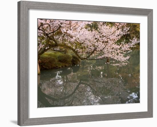 Cherry Blossom, Kenrokuen Garden, Kanazawa City, Ishigawa Prefecture, Honshu Island, Japan-Christian Kober-Framed Photographic Print