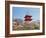 Cherry Blossom, Kyoto, Japan-Shin Terada-Framed Photographic Print