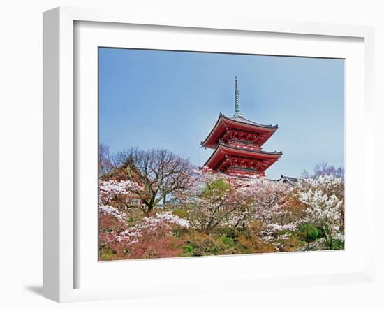 Cherry Blossom, Kyoto, Japan-Shin Terada-Framed Photographic Print