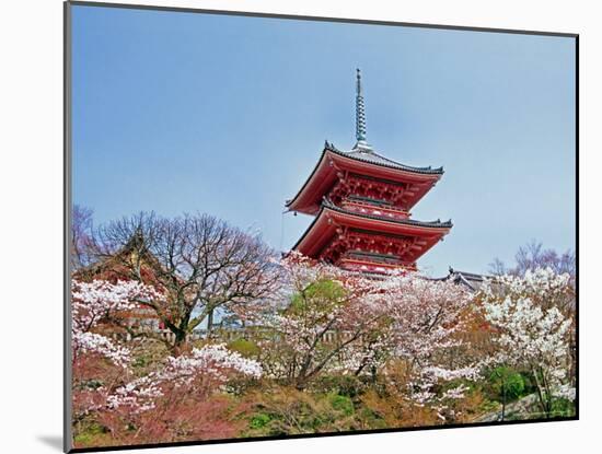 Cherry Blossom, Kyoto, Japan-Shin Terada-Mounted Photographic Print