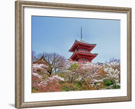 Cherry Blossom, Kyoto, Japan-Shin Terada-Framed Photographic Print